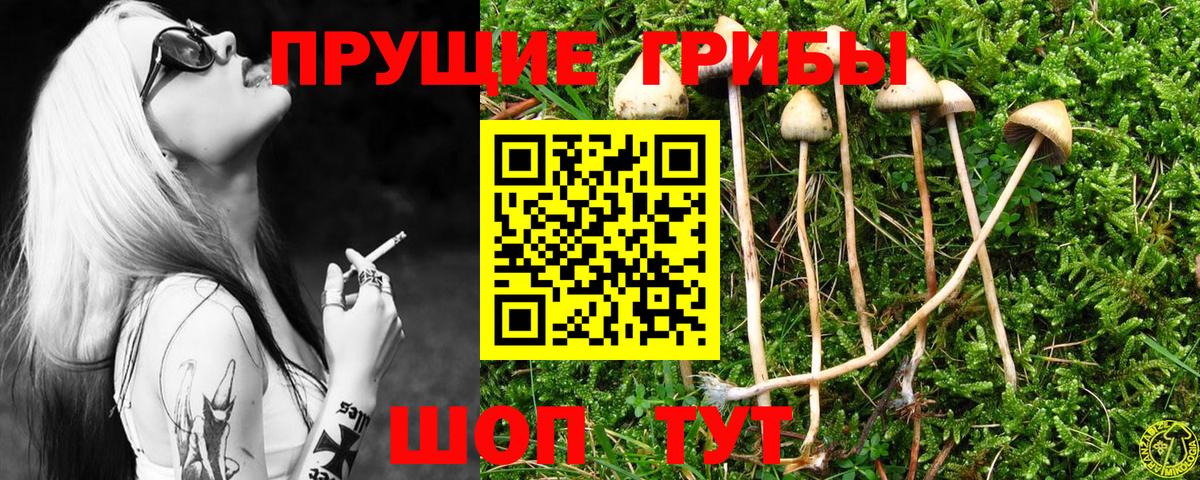 Псилоцибиновые грибы Magic Shrooms  Вход с VPN  Ярославль  Псилоцибиновые грибы MAGIC MUSHROOMS 